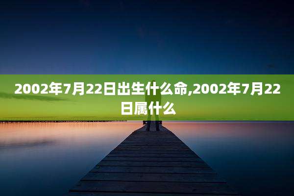 2002年7月22日出生什么命,2002年7月22日属什么