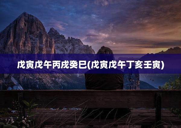 戊寅戊午丙戌癸巳(戊寅戊午丁亥壬寅)