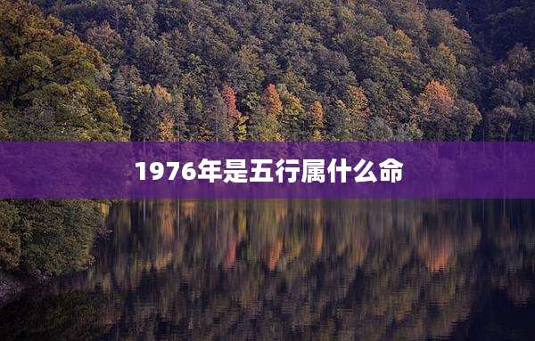 1976年是五行属什么命