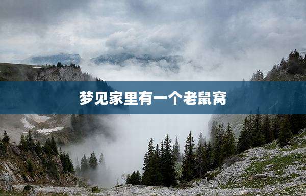 梦见家里有一个老鼠窝
