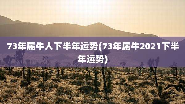 73年属牛人下半年运势(73年属牛2021下半年运势)