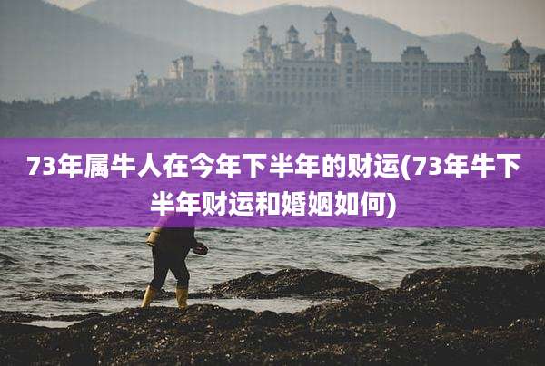 73年属牛人在今年下半年的财运(73年牛下半年财运和婚姻如何)