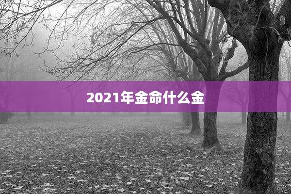 2021年金命什么金