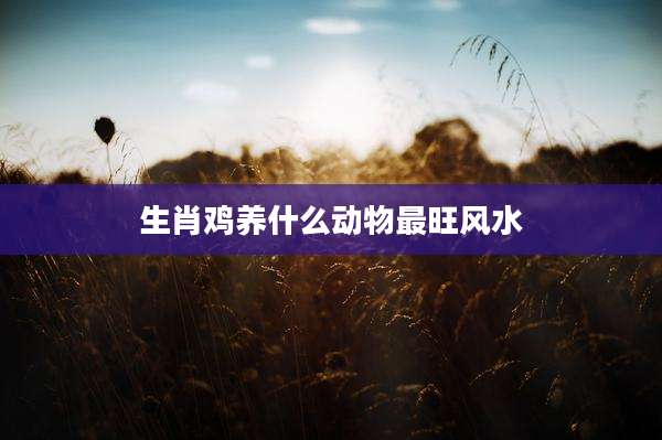 生肖鸡养什么动物最旺风水