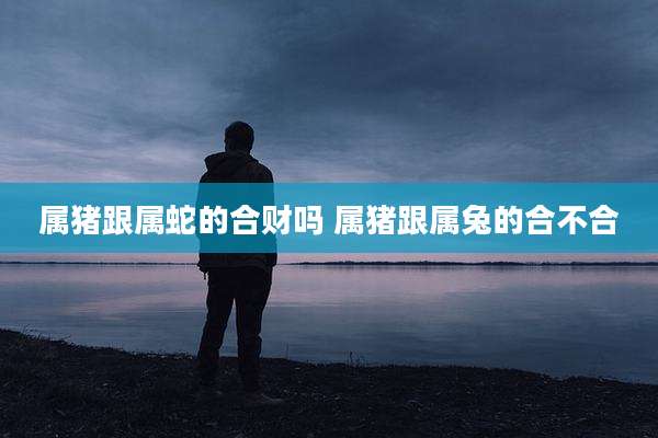属猪跟属蛇的合财吗 属猪跟属兔的合不合