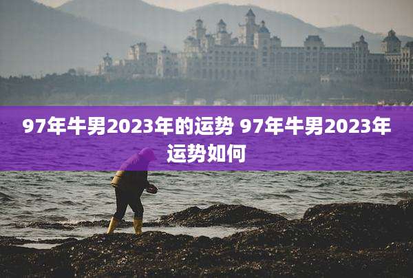 97年牛男2023年的运势 97年牛男2023年运势如何