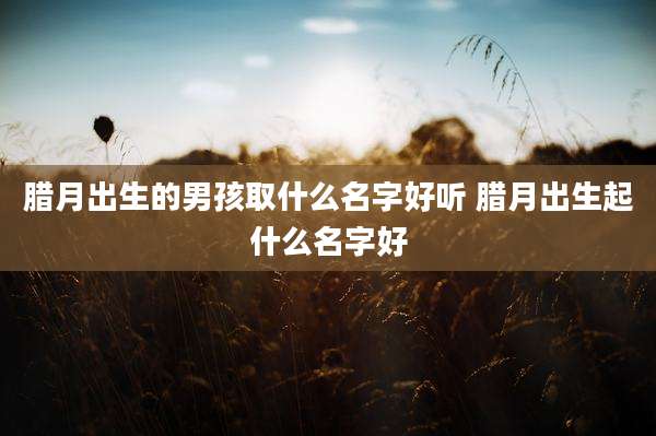 腊月出生的男孩取什么名字好听 腊月出生起什么名字好