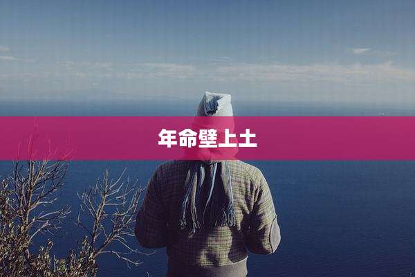 年命壁上土