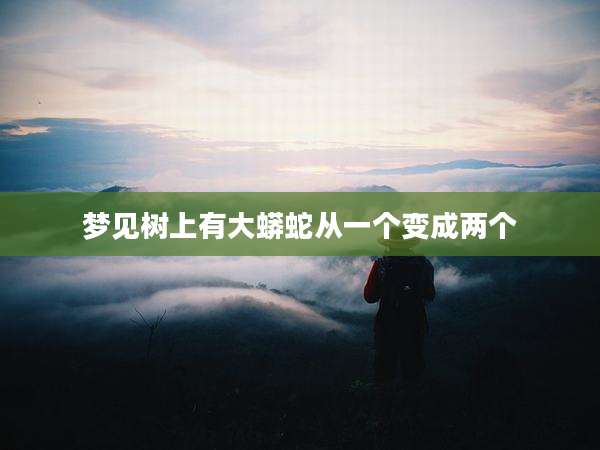 梦见树上有大蟒蛇从一个变成两个