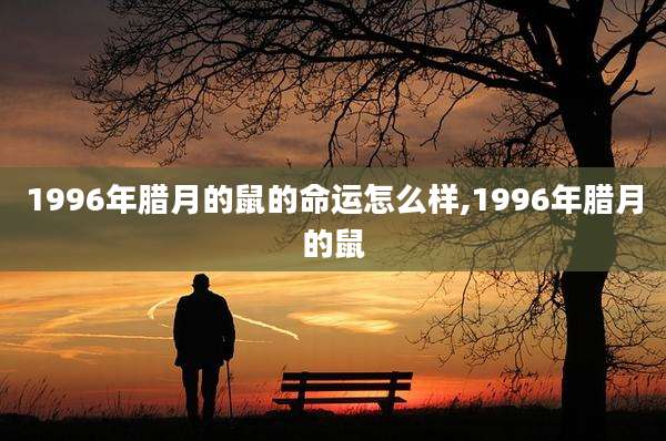 1996年腊月的鼠的命运怎么样,1996年腊月的鼠