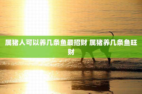 属猪人可以养几条鱼最招财 属猪养几条鱼旺财
