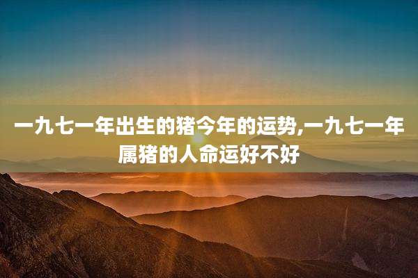 一九七一年出生的猪今年的运势,一九七一年属猪的人命运好不好