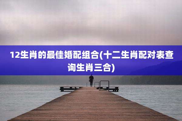 12生肖的最佳婚配组合(十二生肖配对表查询生肖三合)