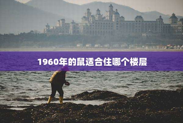 1960年的鼠适合住哪个楼层