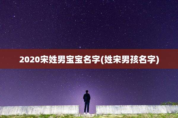 2020宋姓男宝宝名字(姓宋男孩名字)