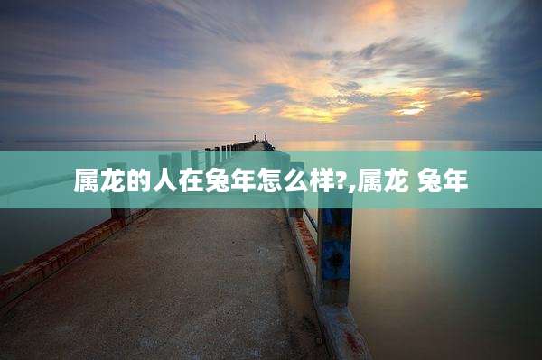 属龙的人在兔年怎么样?,属龙 兔年