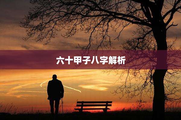 六十甲子八字解析