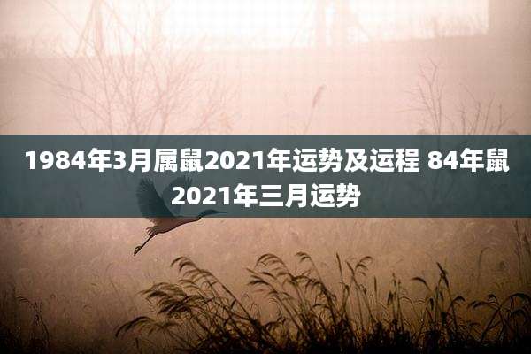 1984年3月属鼠2021年运势及运程 84年鼠2021年三月运势