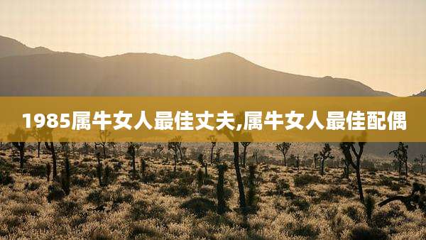 1985属牛女人最佳丈夫,属牛女人最佳配偶