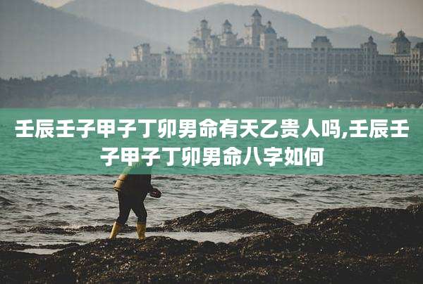 壬辰壬子甲子丁卯男命有天乙贵人吗,壬辰壬子甲子丁卯男命八字如何