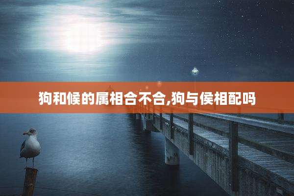 狗和候的属相合不合,狗与侯相配吗