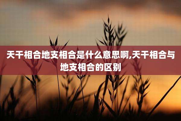 天干相合地支相合是什么意思啊,天干相合与地支相合的区别