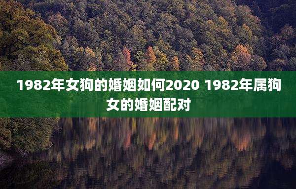 1982年女狗的婚姻如何2020 1982年属狗女的婚姻配对