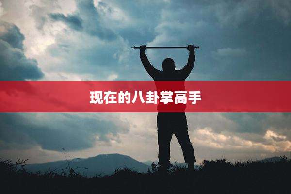 现在的八卦掌高手