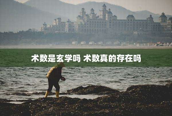术数是玄学吗 术数真的存在吗