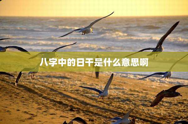 八字中的日干是什么意思啊