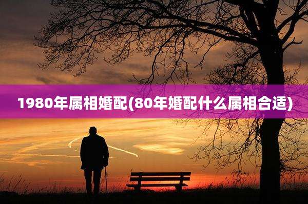 1980年属相婚配(80年婚配什么属相合适)