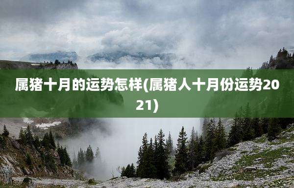 属猪十月的运势怎样(属猪人十月份运势2021)