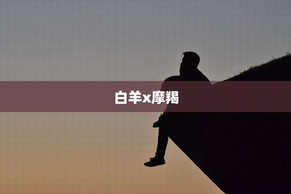 白羊x摩羯