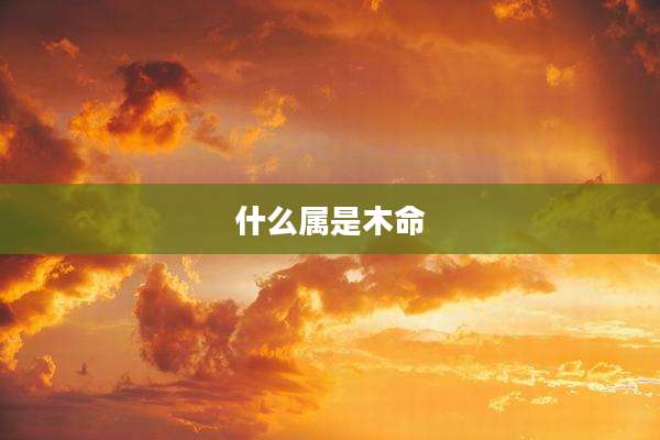 什么属是木命