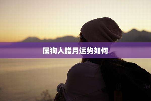 属狗人腊月运势如何