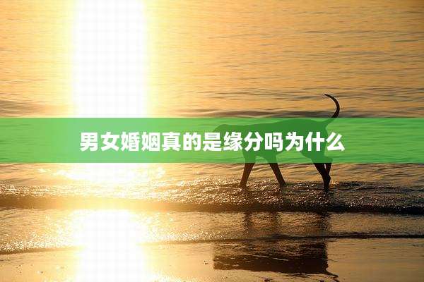 男女婚姻真的是缘分吗为什么