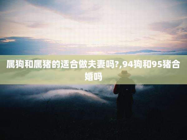 属狗和属猪的适合做夫妻吗?,94狗和95猪合婚吗