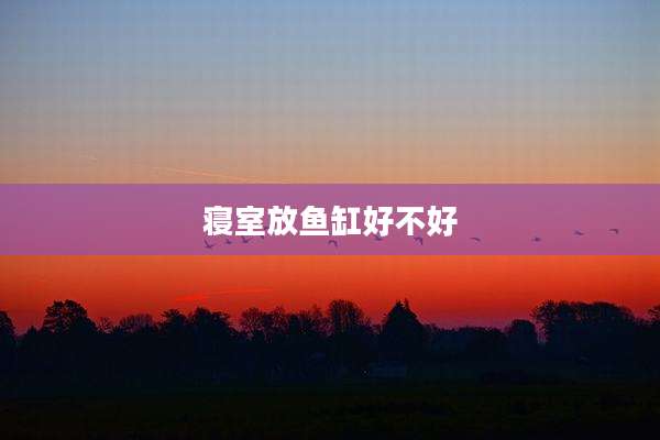 寝室放鱼缸好不好