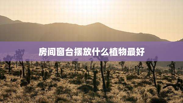 房间窗台摆放什么植物最好