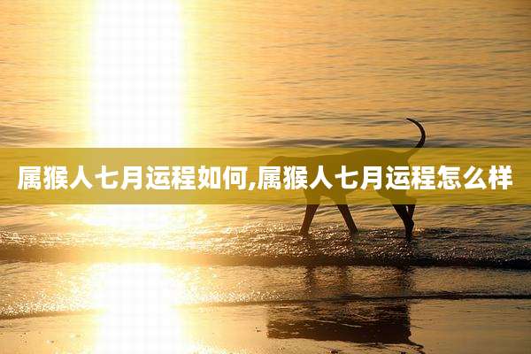 属猴人七月运程如何,属猴人七月运程怎么样