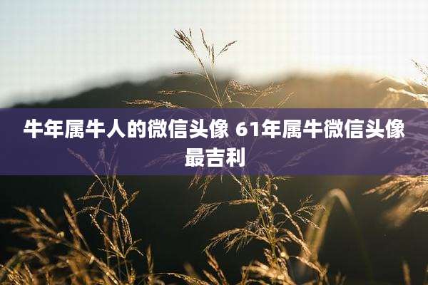 牛年属牛人的微信头像 61年属牛微信头像最吉利