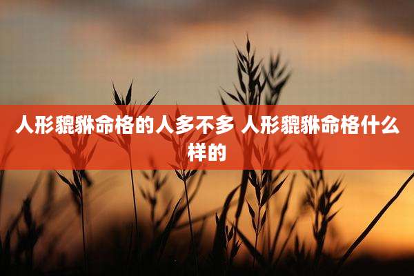 人形貔貅命格的人多不多 人形貔貅命格什么样的