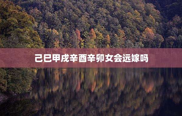 己巳甲戌辛酉辛卯女会远嫁吗
