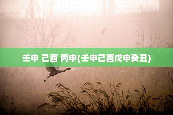 壬申 己酉 丙申(壬申己酉戊申癸丑)