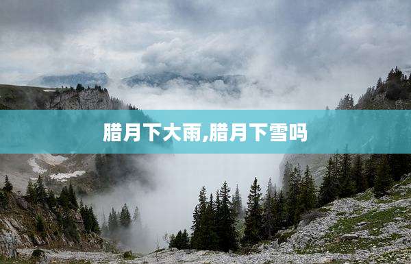 腊月下大雨,腊月下雪吗