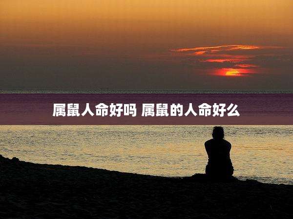 属鼠人命好吗 属鼠的人命好么