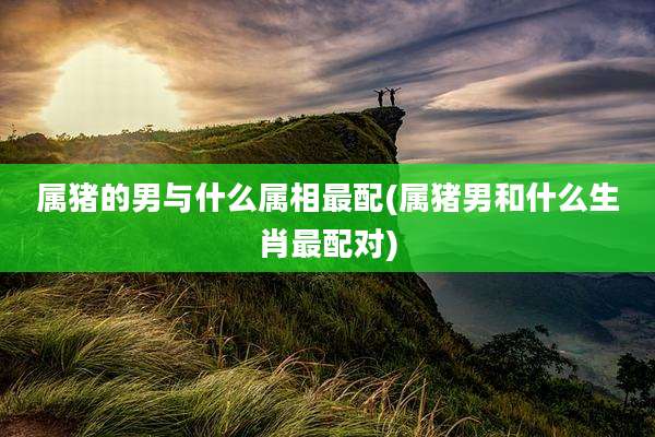 属猪的男与什么属相最配(属猪男和什么生肖最配对)