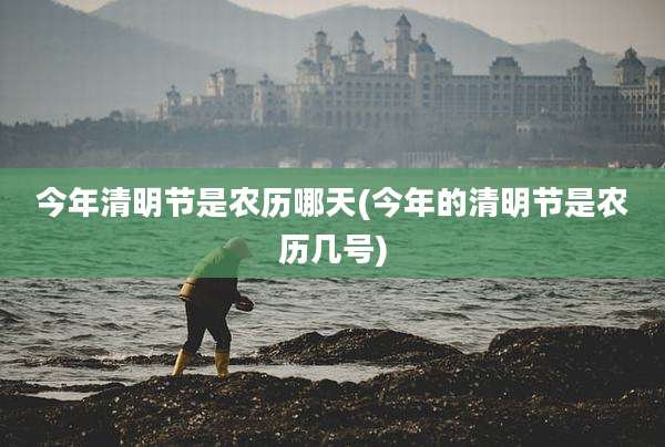 今年清明节是农历哪天(今年的清明节是农历几号)