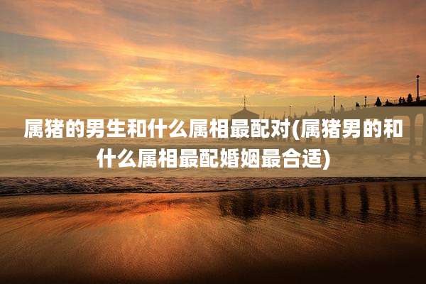 属猪的男生和什么属相最配对(属猪男的和什么属相最配婚姻最合适)