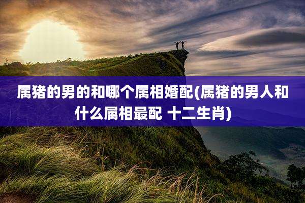 属猪的男的和哪个属相婚配(属猪的男人和什么属相最配 十二生肖)